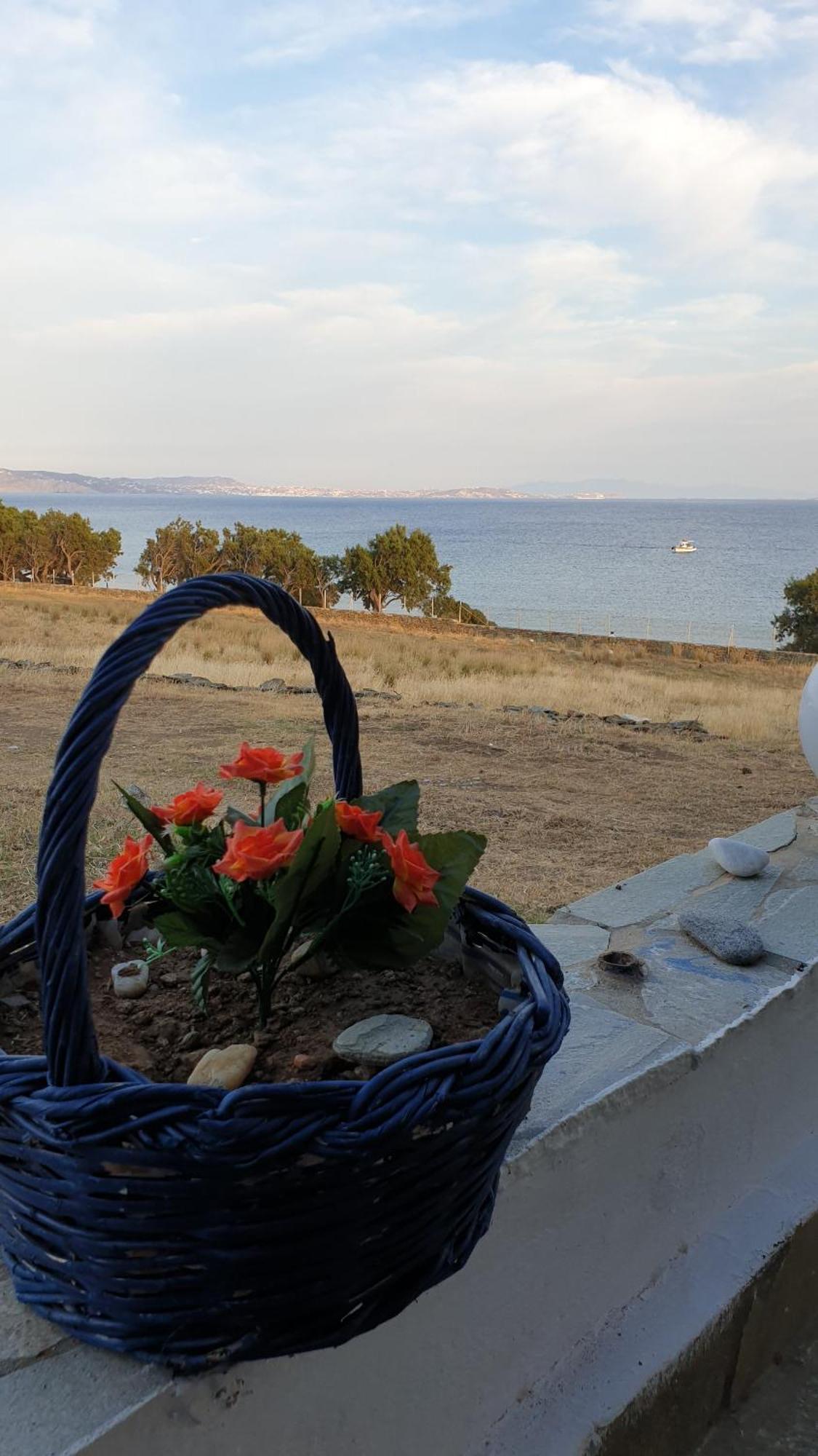 Apartmán Galazio Kyma Agios Ioannis  Pokoj fotografie